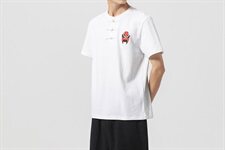 夏季新款中国风大码短袖T恤男复古刺绣盘口棉汗衫QT6005-TX69-P40，男装T恤，星座1112-5（原712-5）