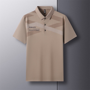 AC18911钱塘2020-3夏季新款时尚男士翻领短袖T恤中年薄款上衣P50图片
