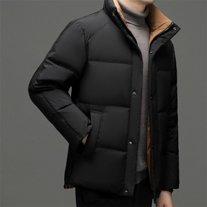 BN3392钱塘2020-2中青年男士纯色时尚休闲百搭保暖羽绒服P245图片