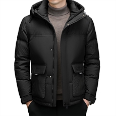 BZB2366钱塘2020-2新款时尚休闲简约冬季厚款中年男士羽绒服P240，男装羽绒服，钱塘207-2