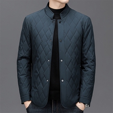 冬季新款男士高端立领休闲时尚加厚百搭保暖棉服休闲上衣长袖外套，男装棉衣，电商B212（原钱塘6029）