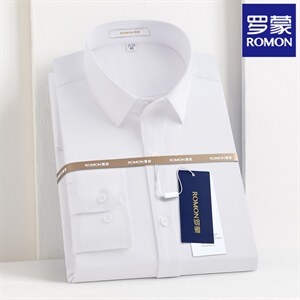 秋天衬衫男长袖秋季薄款中年男士商务休闲纯色免烫无缝衬衣图片