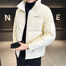 DS-A225-721冬季新款男士立领羽绒服休闲潮流百搭保暖羽绒上衣，男装羽绒服，电商A225