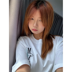 H1004-P35高版本#内里铺布+原版全刺绣休闲宽松短袖T恤图片