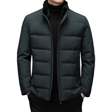 中年爸爸冬装加厚脱卸水貂毛领羽绒服男外套上衣YYYR039806-P325,男装羽绒服,电商B212（原钱塘6029）