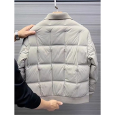 (网图)90白鸭绒90-94克翻领羽绒服时尚百搭313B-25186翻领-P225，男装羽绒服，星座313B