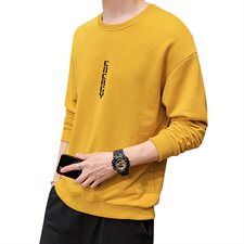 秋装款2021学生休闲圆领套头青少年长袖帅气运动卫衣男6767-P29，男装卫衣，星座217-4
