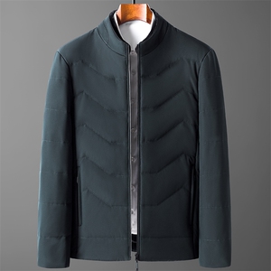 中年棉服男冬季保暖棉袄男士棉衣立领夹克中老年爸爸装C2116-P165图片