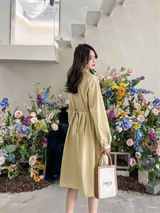 22春季新品复式口袋精致细链条腰带款连衣裙图片