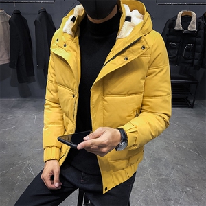 18冬季加厚5毫米羽绒棉服羊羔绒帽领棉衣外套 C301-MY01-P155图片