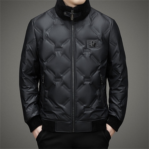 DZ8611钱塘2020-3中青年男士冬季厚款时尚休闲简约羽绒服P210图片