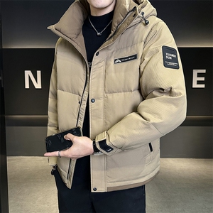 标90白鸭绒男装羽绒服连帽款外套C317-Y865-P255图片