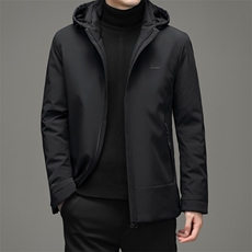 连帽常规款2023新款羽绒服男士潮流时尚冬季保暖外套DD21712-P315，男装羽绒服，电商B212（原钱塘6029）
