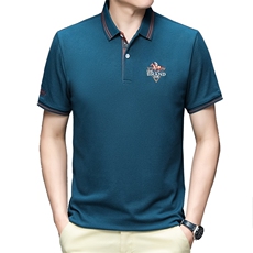 夏季男士翻领短袖t恤男刺绣休闲polo衫纯棉中年商务内搭半袖上衣，男装T恤，电商B212（原钱塘6029）