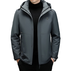 DF22441钱塘2020-2新款冬季时尚休闲有帽简约中年男士羽绒服P305图片