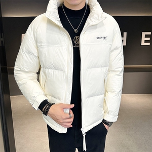 短款羽绒服男2025冬季新款加厚保暖男士立领休闲外套YR8099-P135