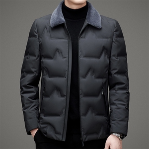 DZ1F17钱塘2020-3冬季厚款商务休闲翻领中年男士羽绒服P195图片