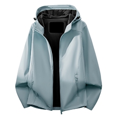 太衣兰
