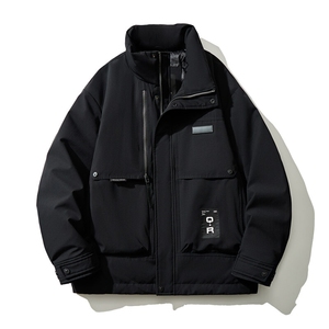 男士短款立领羽绒服90白鸭绒 D213-D095-P340图片