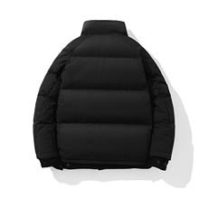 新标白鸭绒简约休闲立领外套纯色加厚羽绒服ESY0221-P205，男装羽绒服，电商B306