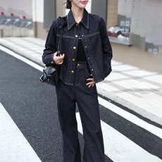 现货气质显瘦女装高级感24年新款秋季高端欧货牛仔喇叭腿裤两件套，女装套装/套裙，潮流依族