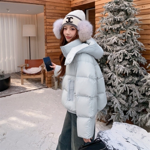现货新款2163-P275-K399小个子羽绒面包服女图片