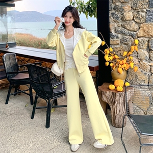 时尚拼接套装女2025年春季新款爆款洋气减龄连帽卫衣阔腿裤两件套图片