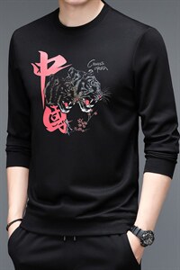 2023新款卫衣男士上衣针织衫长袖T恤P49图片