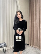 【现货】2021冬季新款设计手工订钻丝绒连衣裙，女装连衣裙，迪玛约