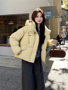 现货新款2170-P295-K419小个子羽绒服面包服图片