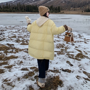 新款现货，羽绒服B081-8741-P295-K438图片