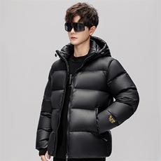 2025新款黑金羽绒服帅气男加厚工装连帽保暖白鸭绒外套yr301-P110，男装羽绒服，星座1210A
