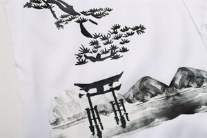 2021年大码印花中国风衬衫男夏秋新款青年长袖衬衫QT5030/2116p50图片