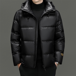 男装羽绒服YR12366继续2025冬黑金206g鹅绒 高充绒量报告图片
