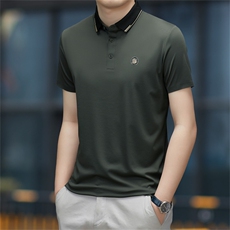 中年休闲男装翻领半袖T恤衫2023夏季新款男士polo衫薄款休闲上衣，男装Polo衫，电商B212（原钱塘6029）