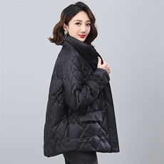 2023冬季时尚简约优雅休闲潮流保暖复古羽绒服，女装羽绒服，独衣靓