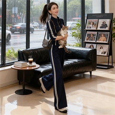 欧货时尚休闲运动套装修身显瘦女秋季新款立领拉链卫衣长裤两件套，女装套装/套裙，江南