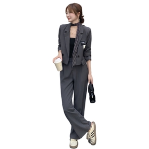 新品 高级灰休闲套装送丝巾 2C236 8015 P175 K238图片