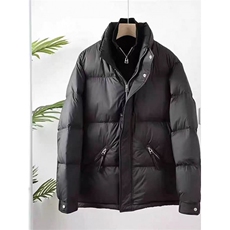 (网图)男士时尚百搭舒适透气高级保暖加厚羽绒服313B-A5812-P220，男装羽绒服，星座313B