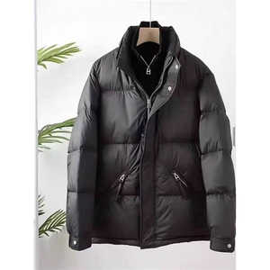 (网图)男士时尚百搭舒适透气高级保暖加厚羽绒服 313B-A5812-P220图片