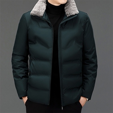 冬季新款棉服男装中年翻领外套棉衣中老年爸爸冬装加厚保暖棉袄，男装棉衣，电商B212（原钱塘6029）