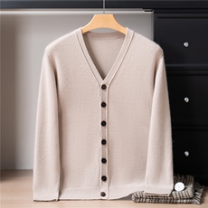 2025年秋季青春流行加厚基础开衫V领，男装针织衫/毛衣，戎禾素