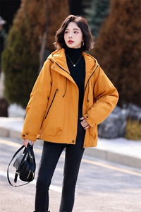 现货现货派克羽绒服女短款冬季2024新款宽松欧货冲锋衣外套现货！图片