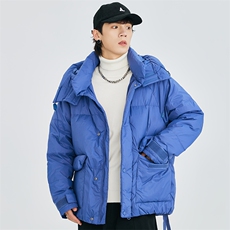 冬季新款立领基础羽绒服上衣外套纯色加厚羽绒服A305-3745-P200，男装羽绒服，电商B306