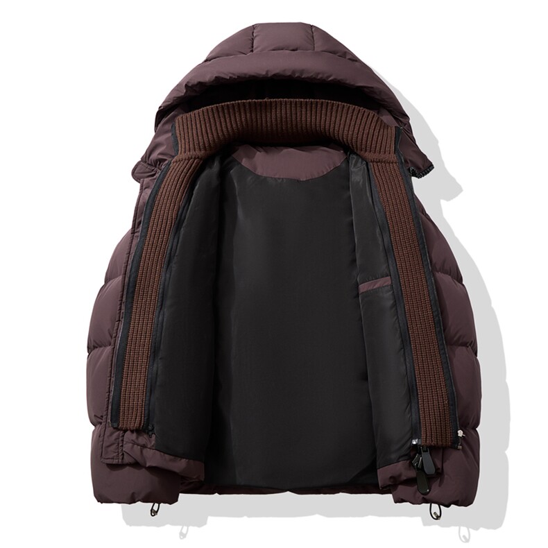 男士冬季新款连帽加厚保暖基础百搭羽绒服外套D213-6228-P490,男装羽绒服,电商D213