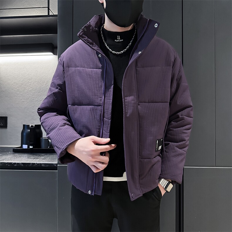 秋冬季新款男装棉衣保暖时尚立领棉袄社会小伙袄子MY87301-P138,男装棉衣,电商D327