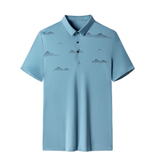 新款polo衫男士短袖t恤夏季薄款翻领半袖商务休闲潮牌衣服，男装T恤，电商B212（原钱塘6029）