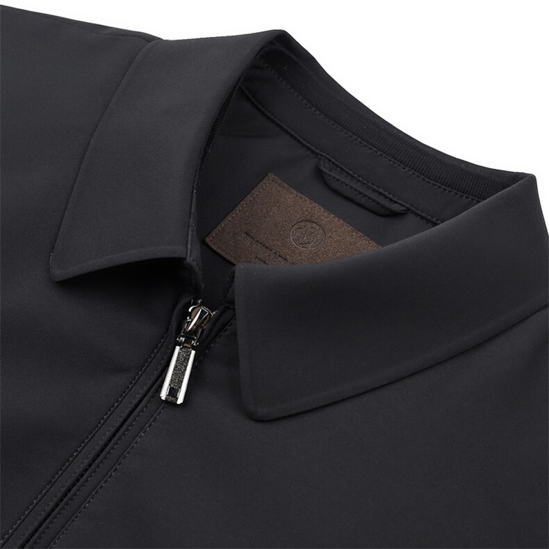 冬季棉衣男中年翻领休闲棉服中青年冬季厚爸爸装DFLDM16001-P185,男装棉衣,电商B212（原钱塘6029）