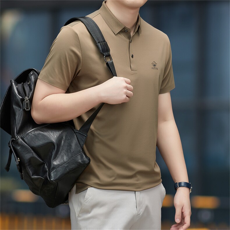 2023夏季新款短袖T恤保罗polo衫中年商务休闲男装半袖翻领男薄款，男装Polo衫，电商B212（原钱塘6029）