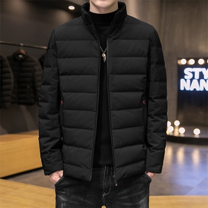 冬季羽立领休闲绒服男士新款中青年加厚保暖白鸭绒外套潮流上衣图片